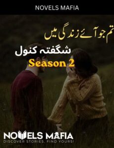 Tum Jo Aye Zindagi Main Novel By Shagufta Kanwal Season 2