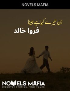 Bin Tere Kiya Hai Jeena Novel By Farwa Khalid