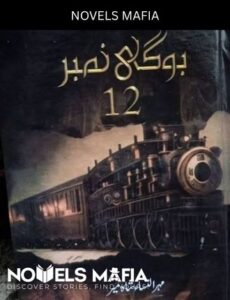 Bogi Number Bara Novel By Mehrulnisa Shahmeer
