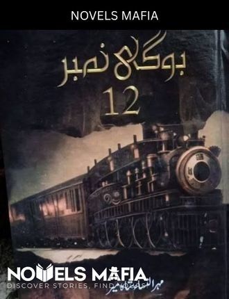 Bogi Number Bara Novel By Mehrulnisa Shahmeer