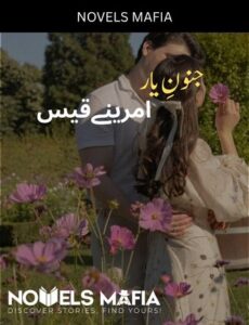 Junoon E Yaar Novel By Amreeny Qais