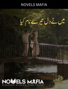 Main Ne Dil Tere Naam Kiya Novel