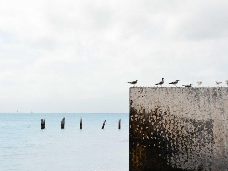 The Comprehensive Resources to Enhance Communication
