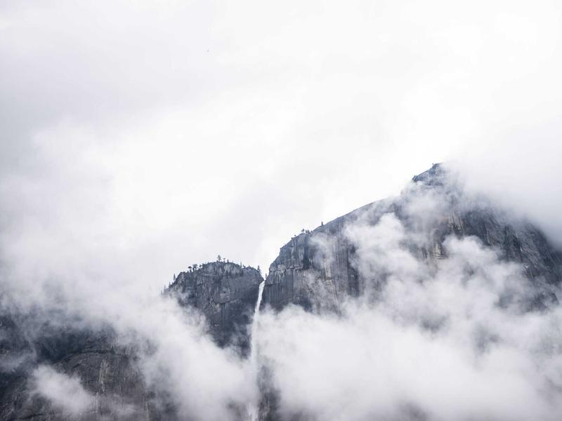 What is Fresh Expertise and why you need it