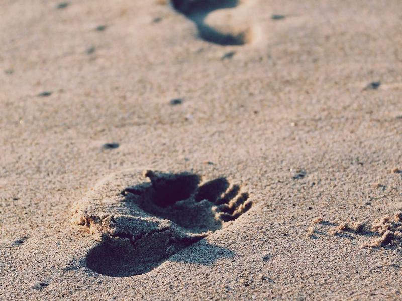 Why Innovation needs Modern Guide